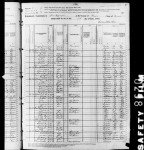 1880 United States Federal Census