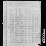1880 United States Federal Census
