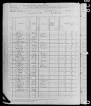 1880 United States Federal Census