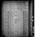 1880 United States Federal Census