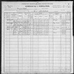 1900 United States Federal Census