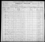1900 United States Federal Census