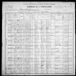 1900 United States Federal Census
