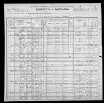 1900 United States Federal Census