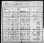1900 United States Federal Census