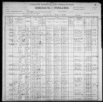 1900 United States Federal Census