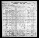 1900 United States Federal Census