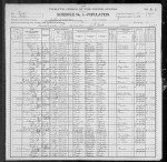 1900 United States Federal Census