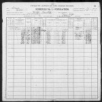 1900 United States Federal Census