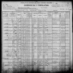 1900 United States Federal Census