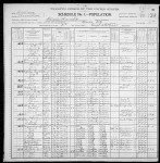 1900 United States Federal Census