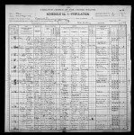 1900 United States Federal Census