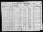 1920 United States Federal Census