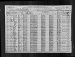 1920 United States Federal Census