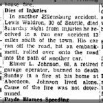 Article re: Lewis Edwin Waldron Fatal Accident