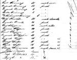 Carl Kleppin Family Immigration Record