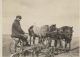 Carl Mayhak - Back said - This is me plowing for corn in May your brother Carl Mayhak