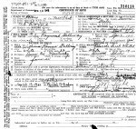 Idaho, Birth Index, 1861-1916, Stillbirth Index, 1905-1966