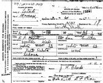 Idaho, Birth Index, 1861-1916, Stillbirth Index, 1905-1966
