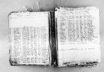 Missouri, Birth Registers, 1847-1910