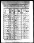 New Mexico, Territorial Census, 1885