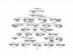 North America, Family Histories, 1500-2000