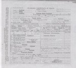 Sadie McCormick Hicks Death Cert