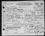 Texas, Birth Certificates, 1903-1932