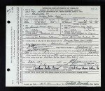Virginia, Birth Records, 1912-2014, Delayed Birth Records, 1854-1911