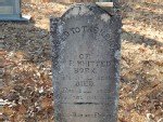 William F Whitted