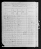 1880 United States Federal Census