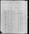 1880 United States Federal Census