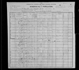 1900 United States Federal Census
