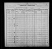 1900 United States Federal Census
