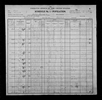 1900 United States Federal Census
