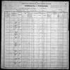 1900 United States Federal Census