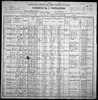 1900 United States Federal Census