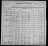1900 United States Federal Census