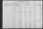 1920 United States Federal Census
