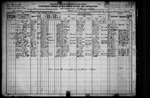 1920 United States Federal Census