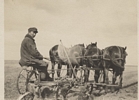 Carl Mayhak - Back said - This is me plowing for corn in May your brother Carl Mayhak
