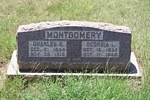 Georgi Ann Levenia Woods