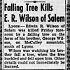 Edwin Ralph Wilson - Killed by Falling Tree Branch