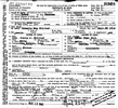 Idaho, Birth Index, 1861-1916, Stillbirth Index, 1905-1966