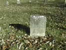 Jonathan Whitted