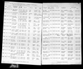 Michigan, Marriage Records, 1867-1952