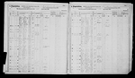 New York, State Census, 1875