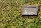 Percy William Waldron